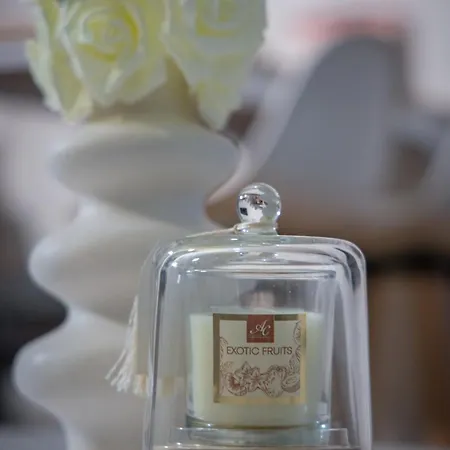 Le Beverley - Centre-ville - Fibre - Netflix *