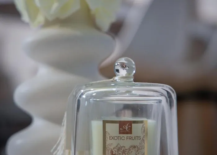 Le Beverley - Centre-ville - Fibre - Netflix *